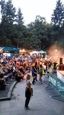 Rock im Gr&uuml;nen 11